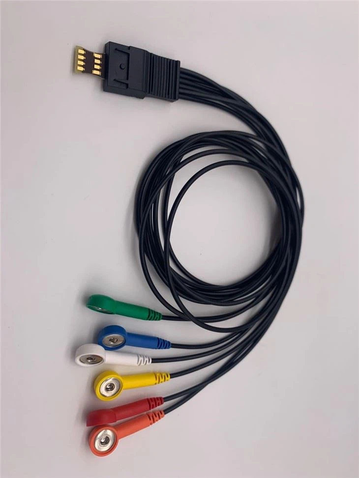 Schiller Compatible ECG Holter 6 Leads